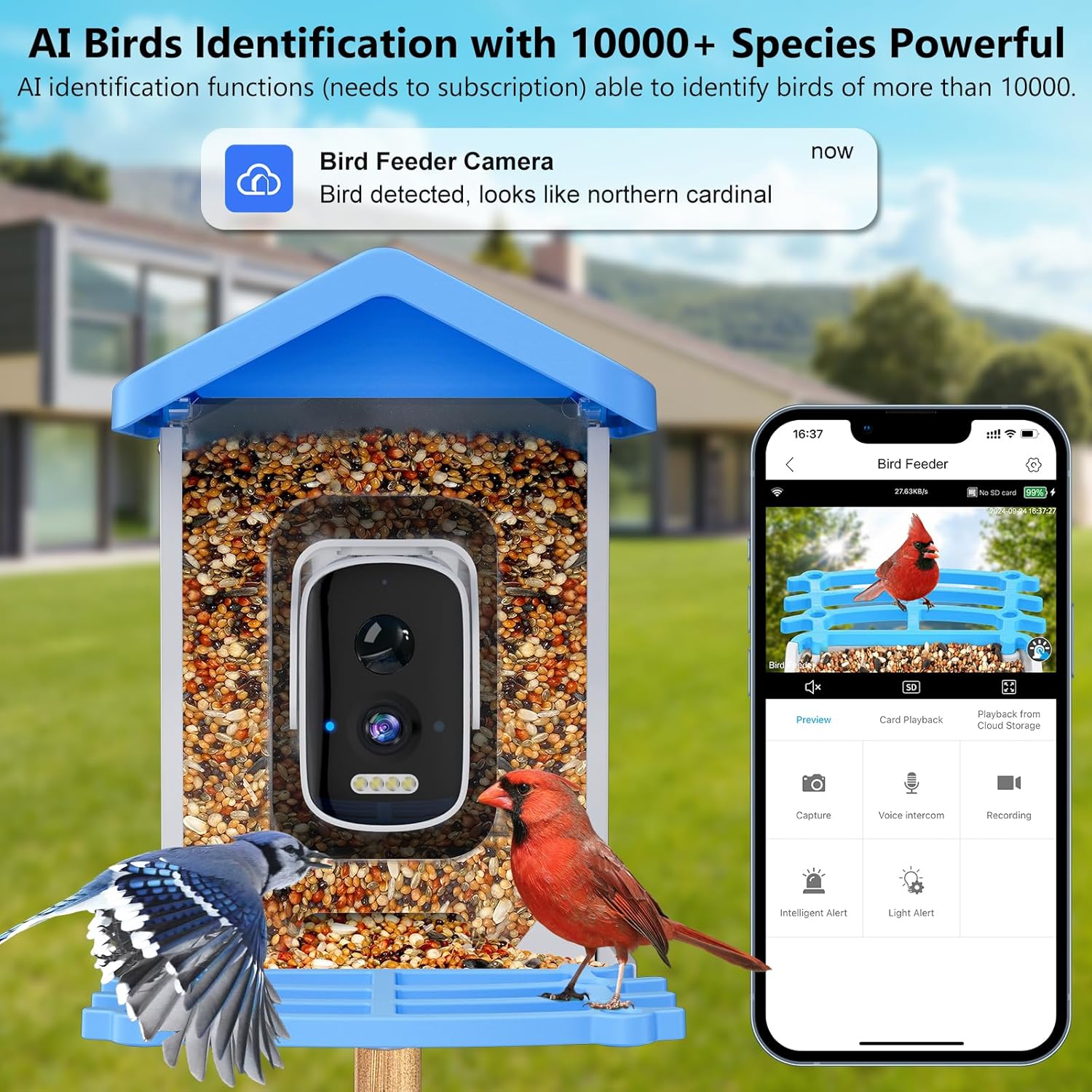 Bird Feeder Camera Wifi Smart Ai - Pengumpan Burung Pintar dengan Kamera AI