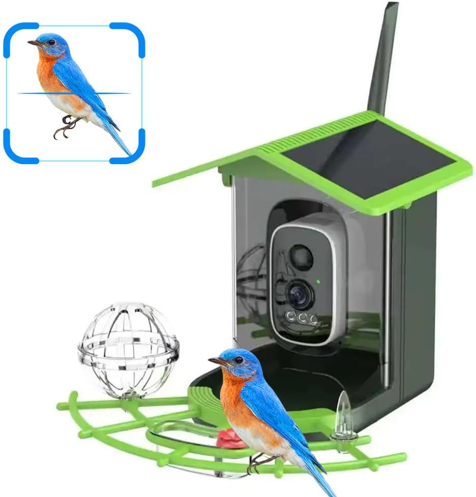 Bird Feeder Camera Wifi Smart Ai - Aplikasi WIFI Pengamatan Burung Real-Time Kamera