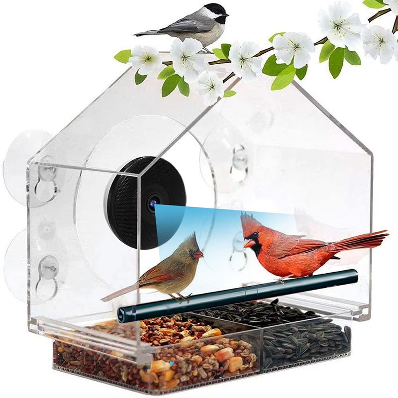 Bird Feeder Camera Wifi Smart Ai - Kamera Pengumpan Burung Pintar Pengenal Burung