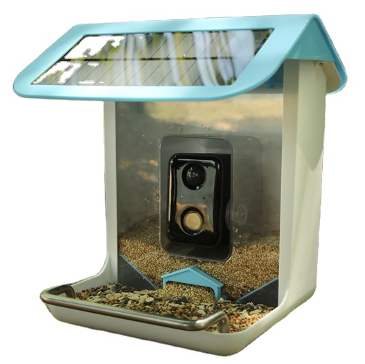 Kamera Wifi Satwa Liar Luar Ru - Bird Feeder Camera Wifi Smart Ai ulasan dan harga