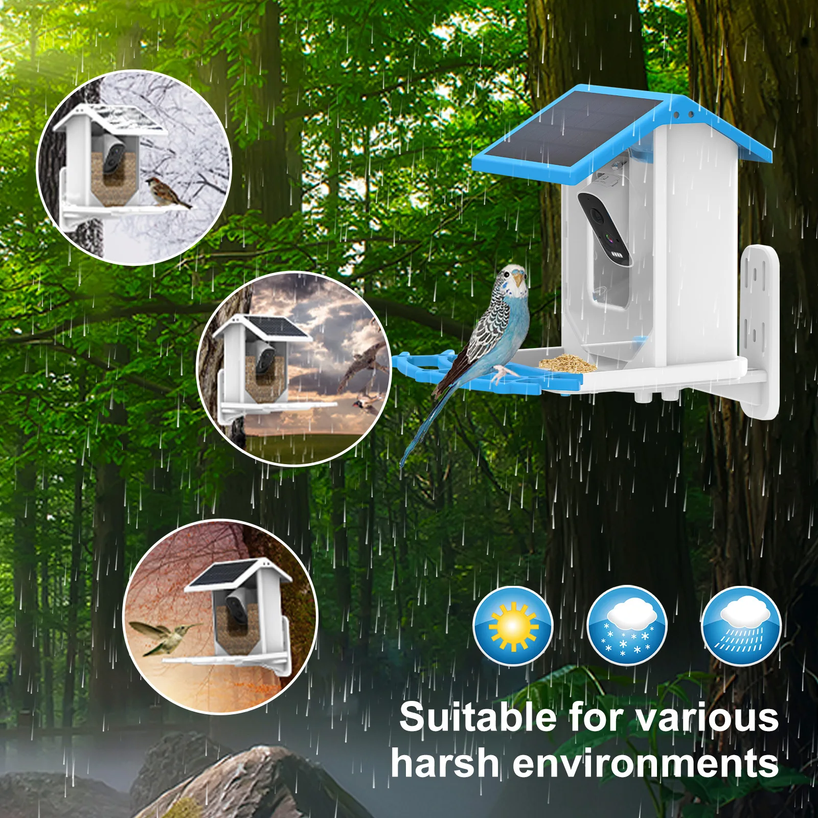 Kamera pengumpan burung pintar - Bird Feeder Camera Wifi Smart Ai ulasan dan harga