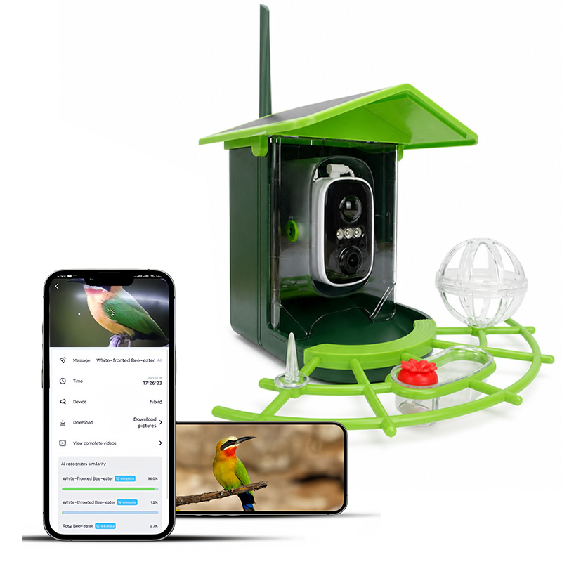 Kamera WiFi Cerdas dengan Pane - Bird Feeder Camera Wifi Smart Ai ulasan dan harga