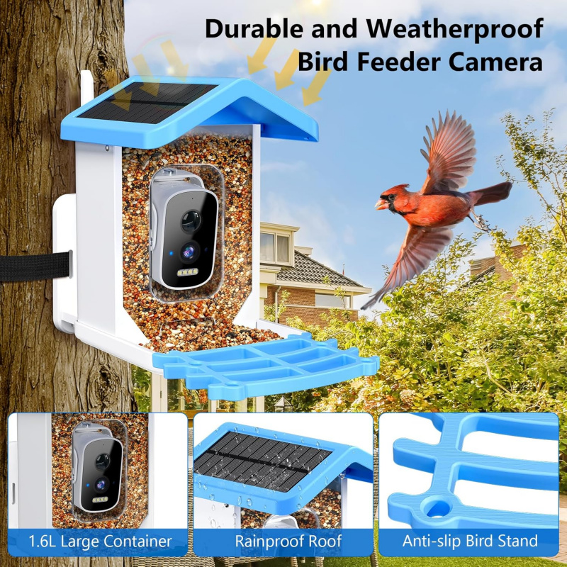Pengumpan Burung Pintar dengan - Bird Feeder Camera Wifi Smart Ai ulasan dan harga