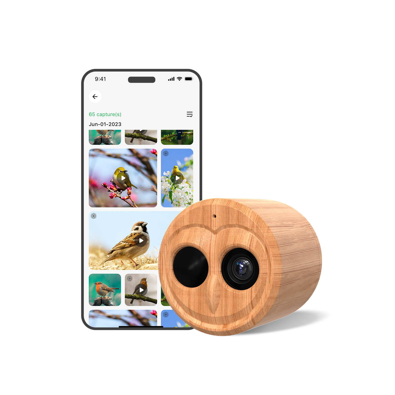 Pengumpan Burung Pintar 4K Den - Bird Feeder Camera Wifi Smart Ai ulasan dan harga