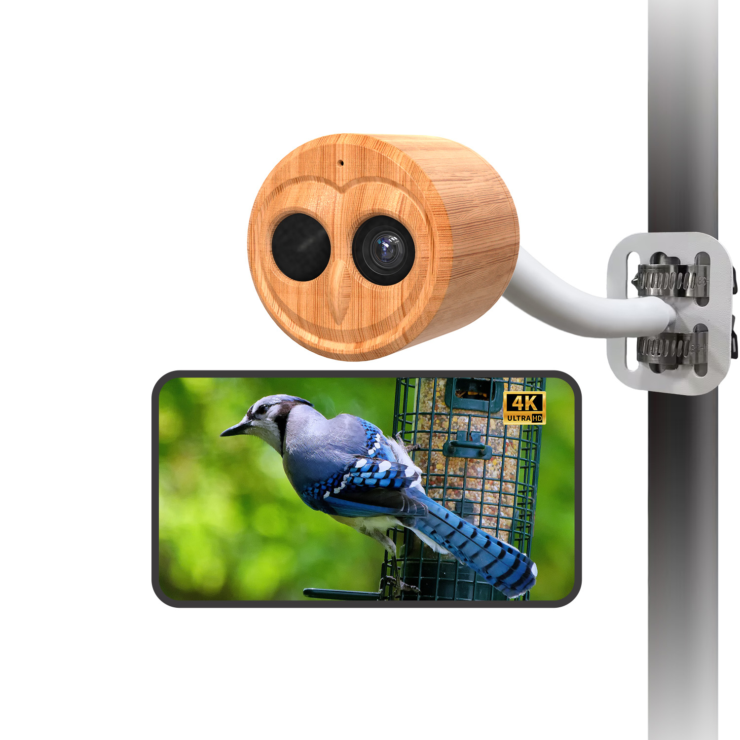 Pengumpan Burung Pintar 4K Den - Bird Feeder Camera Wifi Smart Ai ulasan dan harga