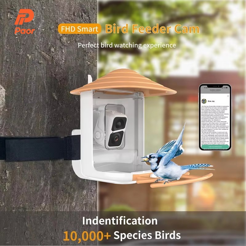 Pengumpan Burung Pintar AI 2L  - Bird Feeder Camera Wifi Smart Ai ulasan dan harga