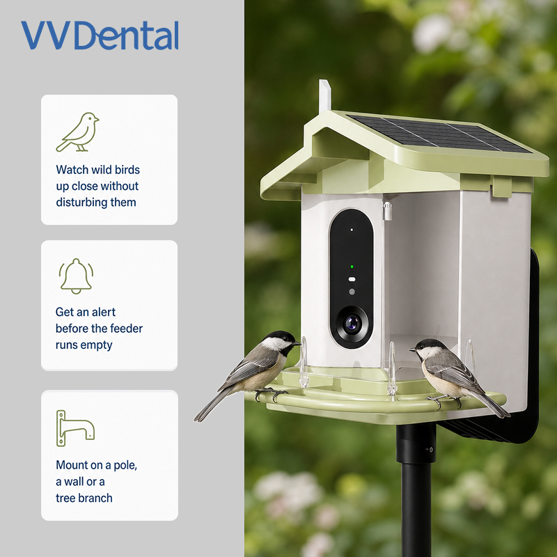 Pengumpan Burung Cerdas dengan - Bird Feeder Camera Wifi Smart Ai ulasan dan harga