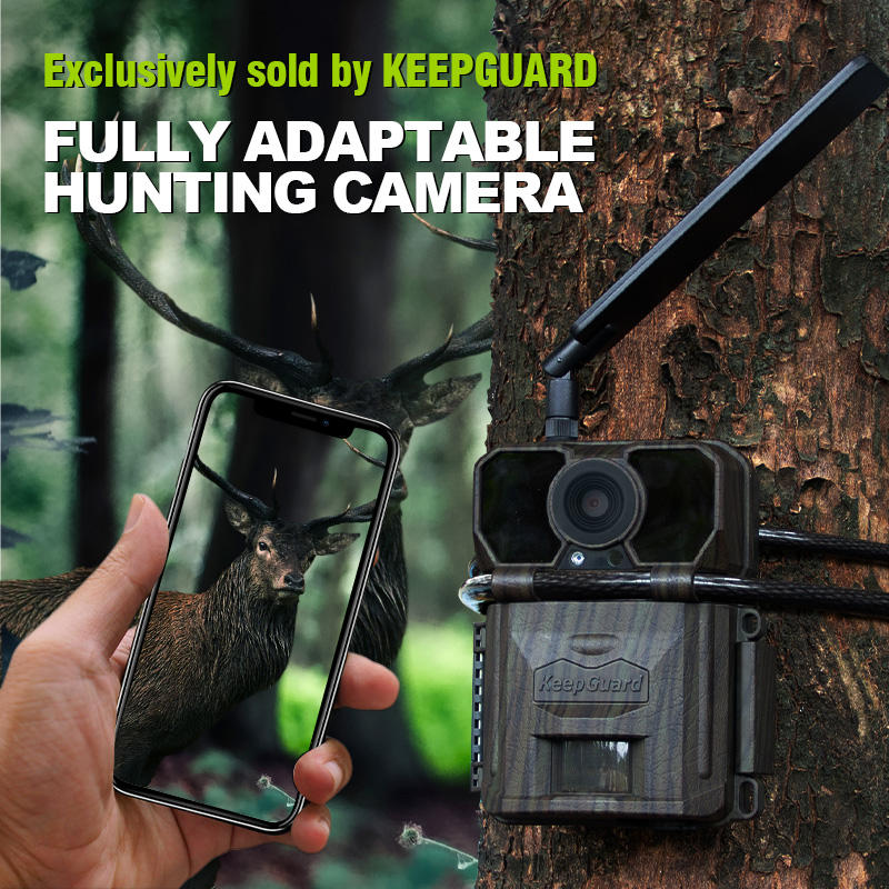 Kamera Jejak Seluler Keepguard - Cellular Trail Camera Live Stream ulasan dan harga