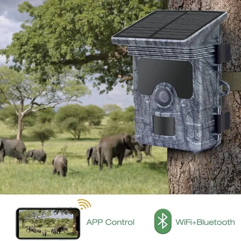 Kamera Perangkap Satwa Liar 4K - Trail Camera Solar Panel Powered ulasan dan harga