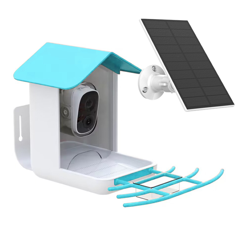 Kamera IP Jaringan Wifi Nirkab - Bird Feeder Camera Wifi Smart Ai ulasan dan harga