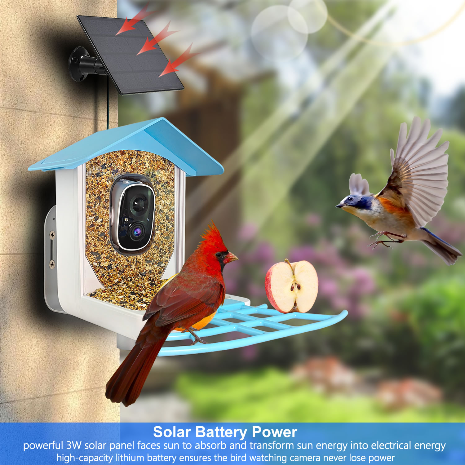 Kamera IP Jaringan Wifi Nirkab - Bird Feeder Camera Wifi Smart Ai ulasan dan harga