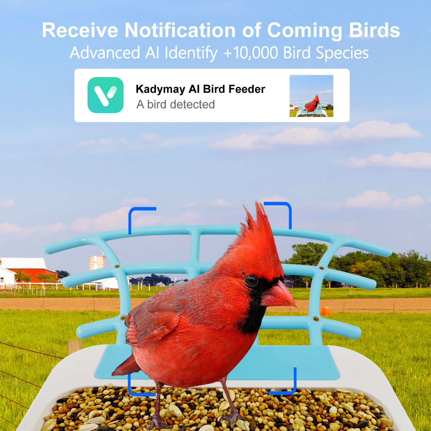 Kamera IP Jaringan Wifi Nirkab - Bird Feeder Camera Wifi Smart Ai ulasan dan harga