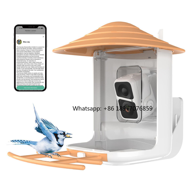 2026 2L IP66 AI Smart Bird Fee - Bird Feeder Camera Wifi Smart Ai ulasan dan harga