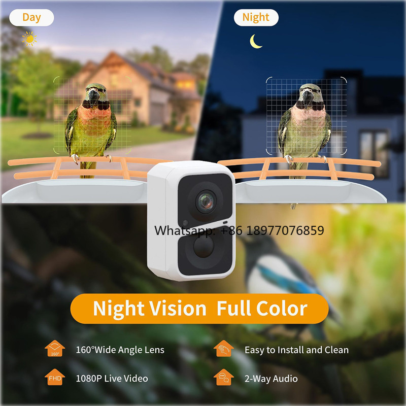 2026 2L IP66 AI Smart Bird Fee - Bird Feeder Camera Wifi Smart Ai ulasan dan harga