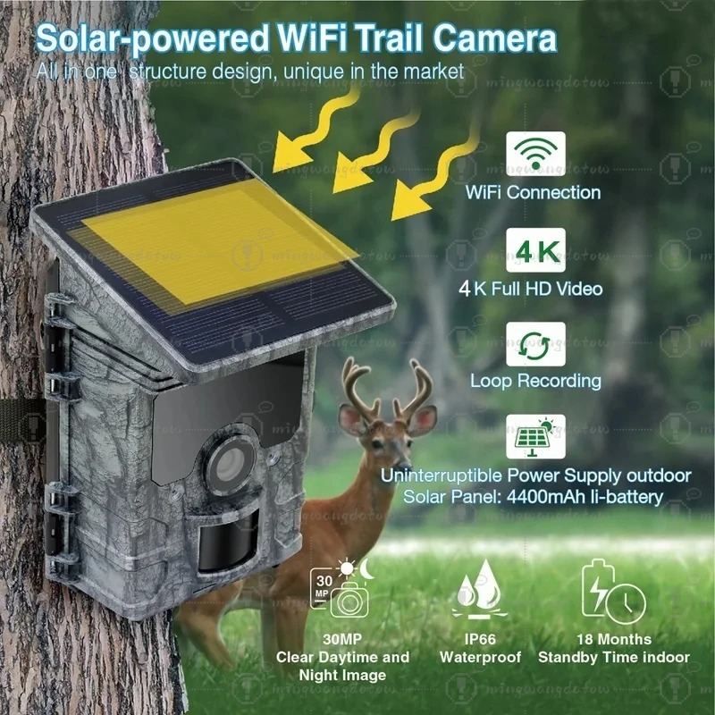 Kamera Berburu 4K WiFi Tenaga  - Trail Camera Solar Panel Powered ulasan dan harga