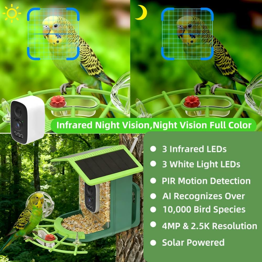 Aplikasi WIFI Pengamatan Burun - Bird Feeder Camera Wifi Smart Ai ulasan dan harga