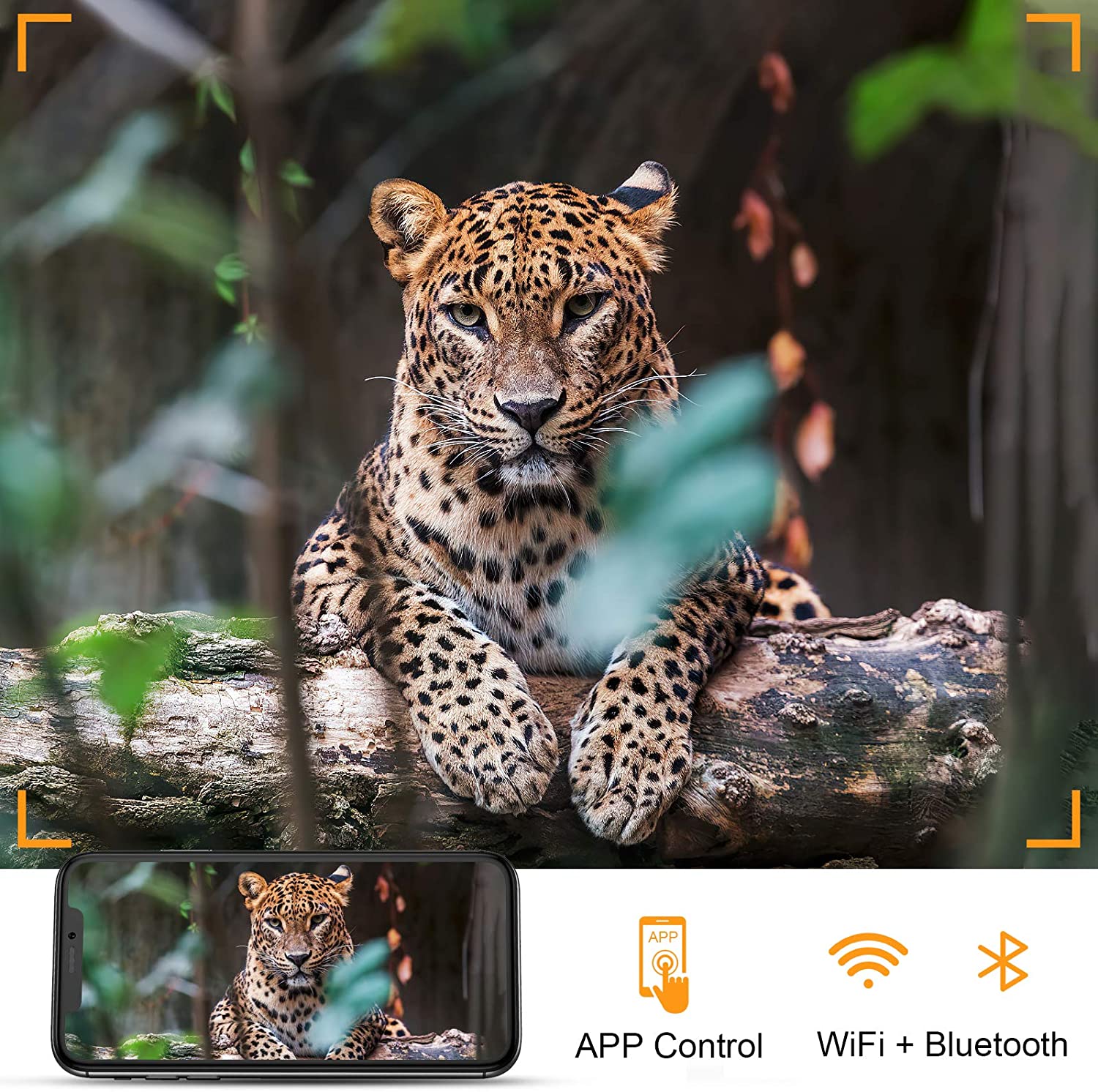 Kamera Berburu WIFI 4K Siaran  - Trail Camera Wifi Bluetooth App Control ulasan dan harga