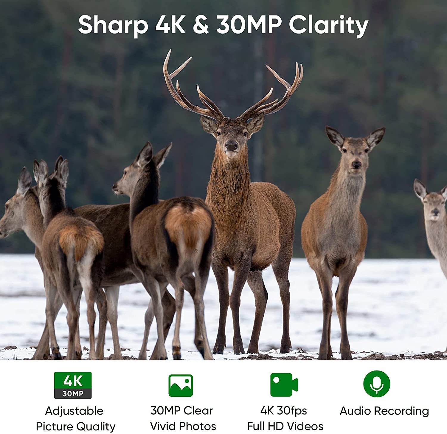 Kamera Berburu WIFI 4K Siaran  - Trail Camera Wifi Bluetooth App Control ulasan dan harga