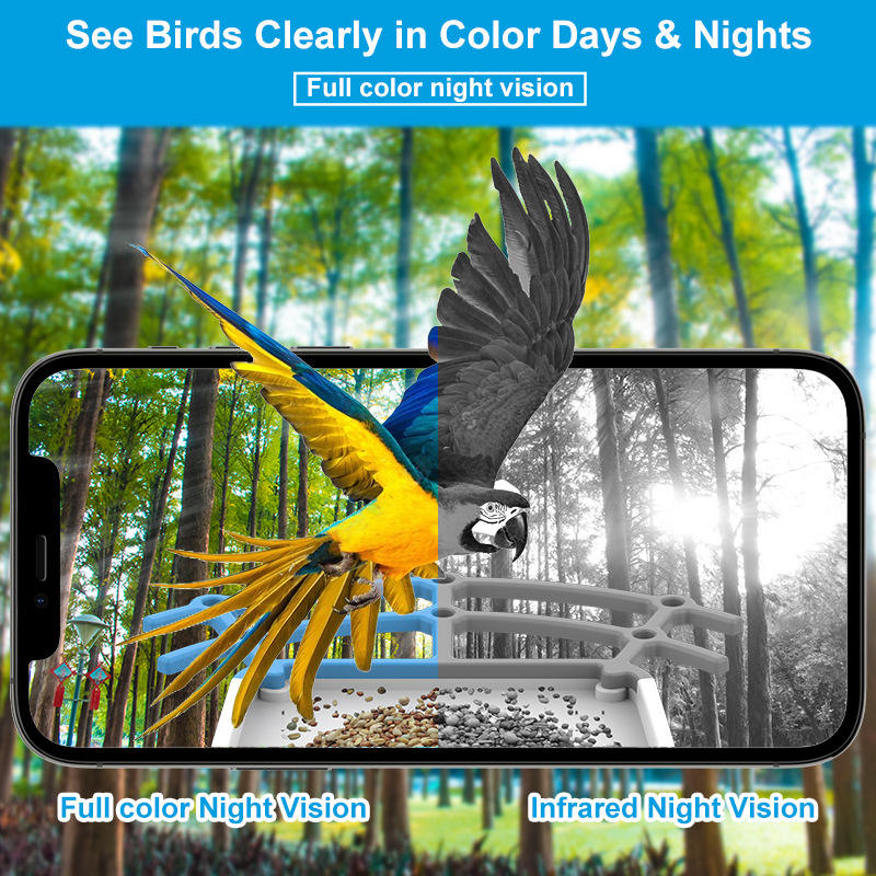 Kamera Pemberi Makan Burung Ot - Bird Feeder Camera Wifi Smart Ai ulasan dan harga