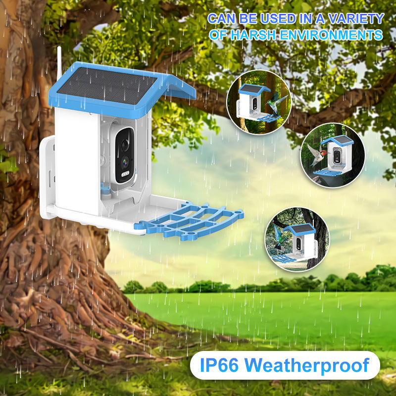 Kamera Pemberi Makan Burung Ot - Bird Feeder Camera Wifi Smart Ai ulasan dan harga