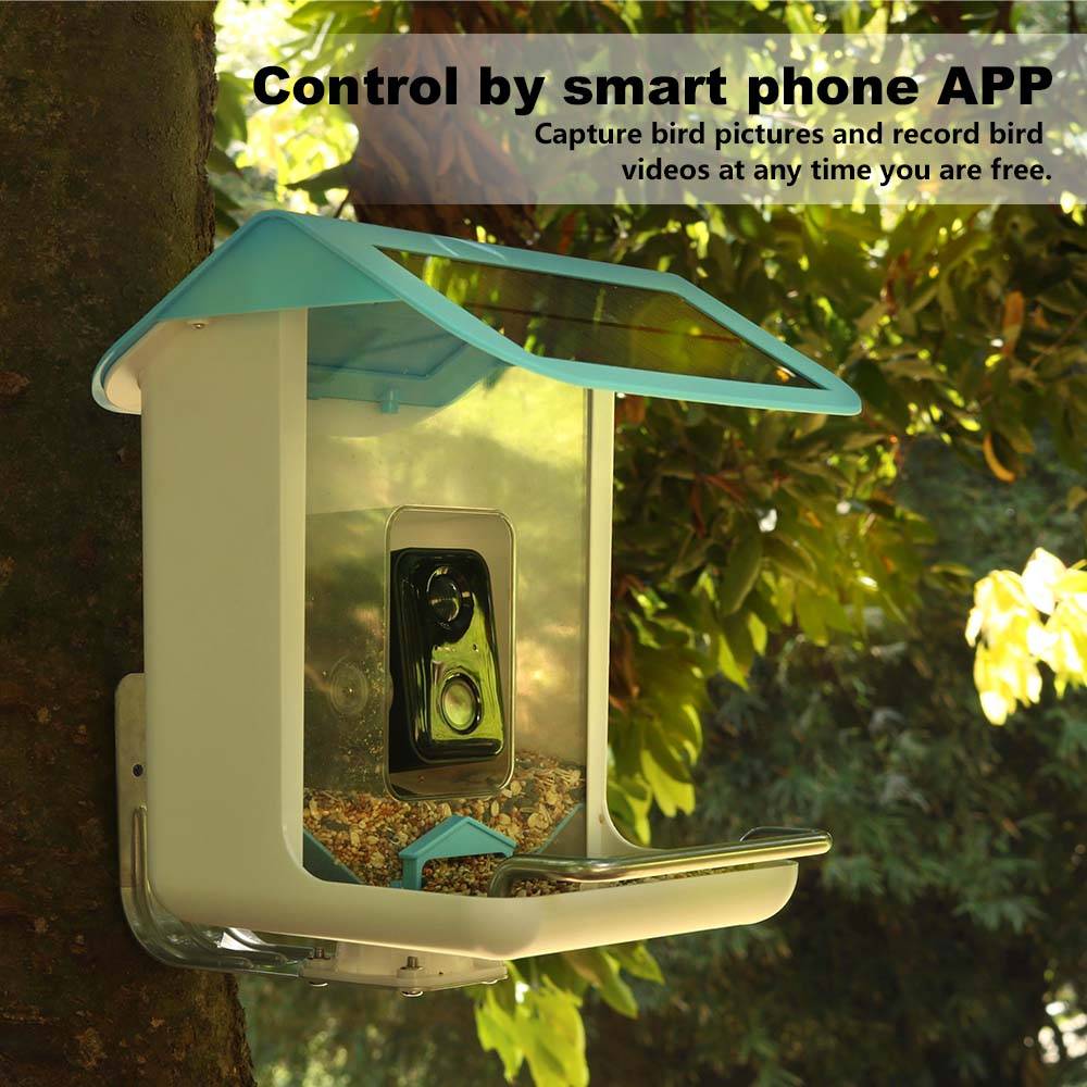 Kamera Wifi Satwa Liar dengan  - Bird Feeder Camera Wifi Smart Ai ulasan dan harga