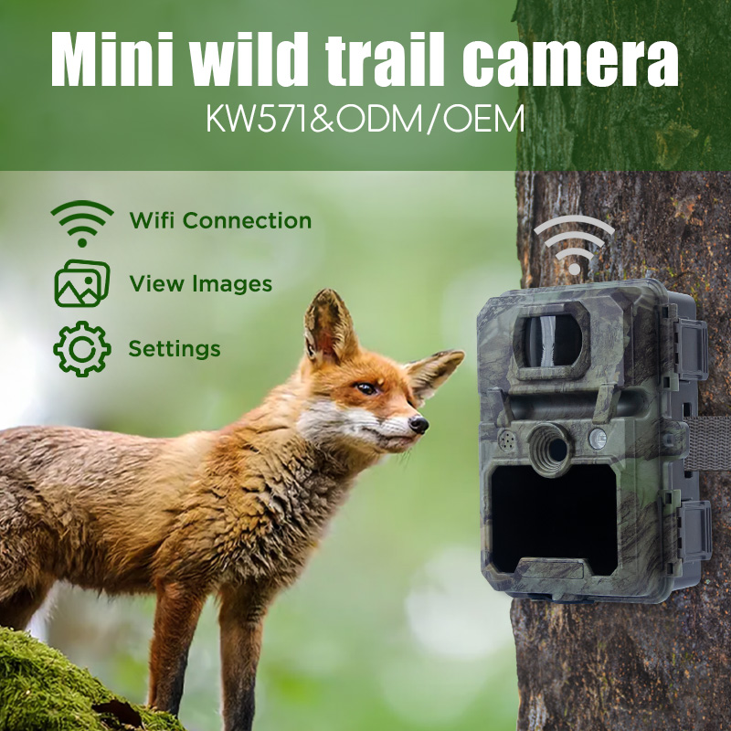 Kamera Berburu No-Glow Night V - Hunting Game Camera Night Vision No Glow ulasan dan harga