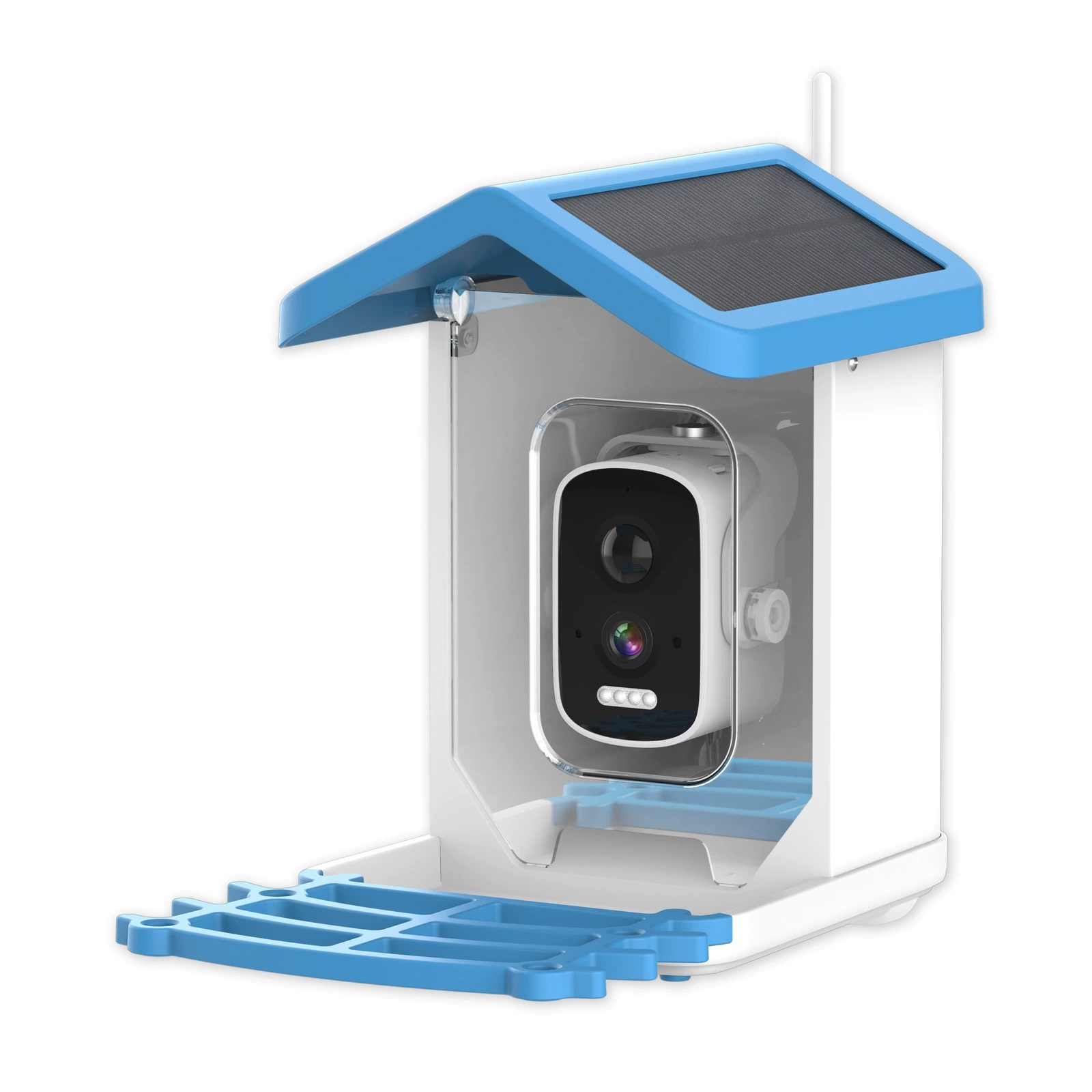 Kamera Pengumpan Burung AI Bir - Bird Feeder Camera Wifi Smart Ai ulasan dan harga
