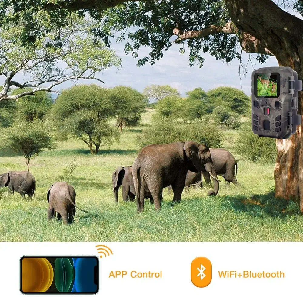 Kamera Pengintai WiFi301, Nirk - Trail Camera Wifi Bluetooth App Control ulasan dan harga