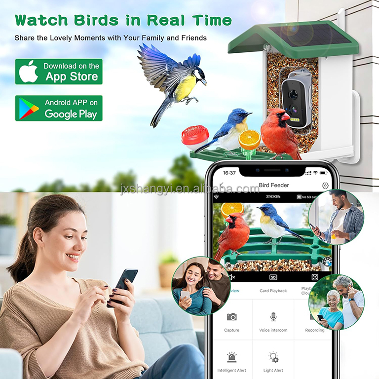 Pengidentifikasi Otomatis OEM  - Bird Feeder Camera Wifi Smart Ai ulasan dan harga