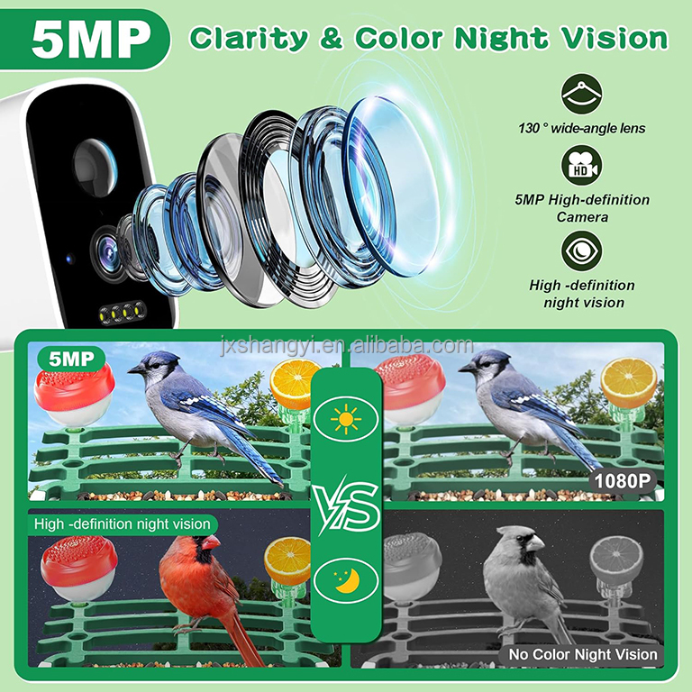 Pengidentifikasi Otomatis OEM  - Bird Feeder Camera Wifi Smart Ai ulasan dan harga