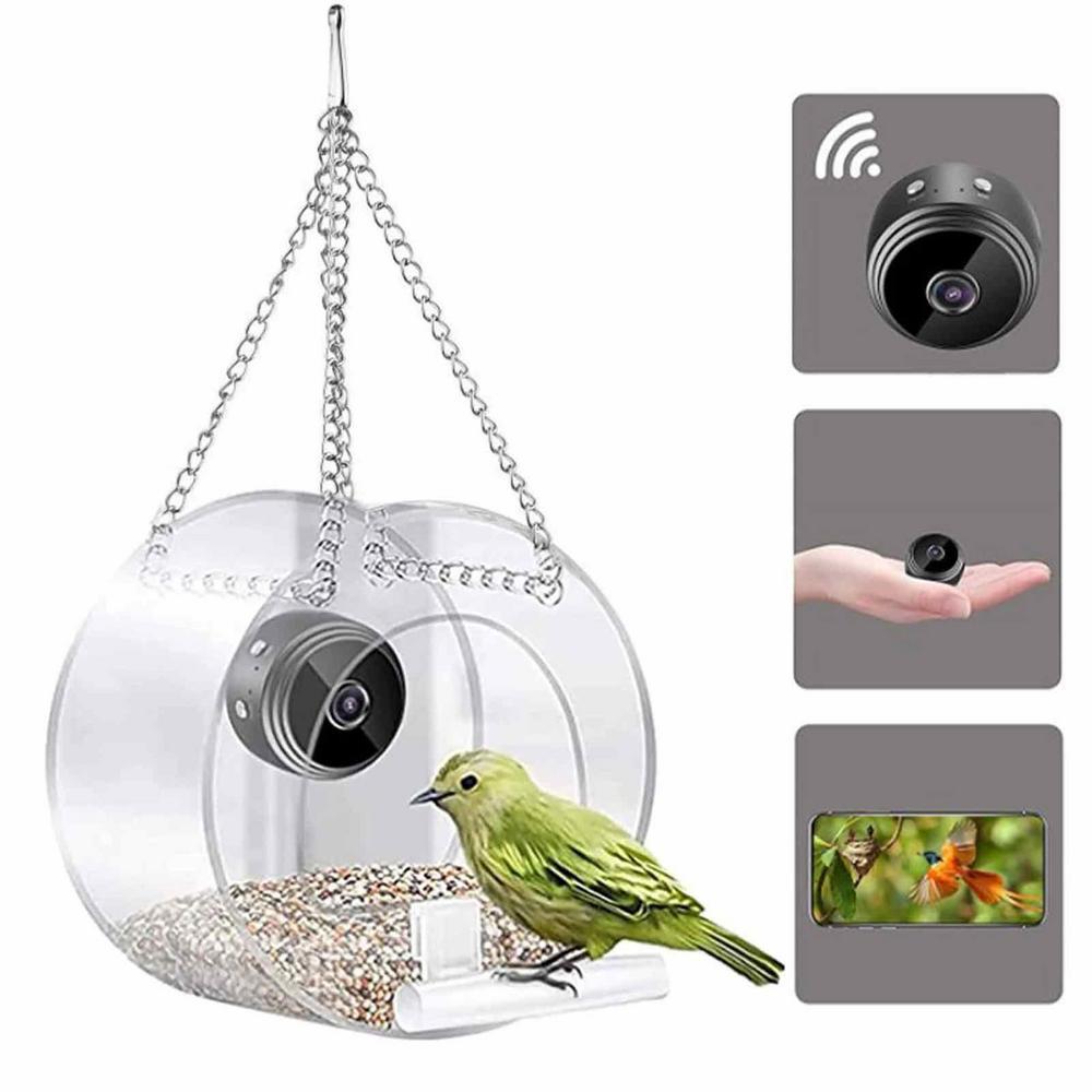 Pengumpan Burung Pintar & Kame - Bird Feeder Camera Wifi Smart Ai ulasan dan harga