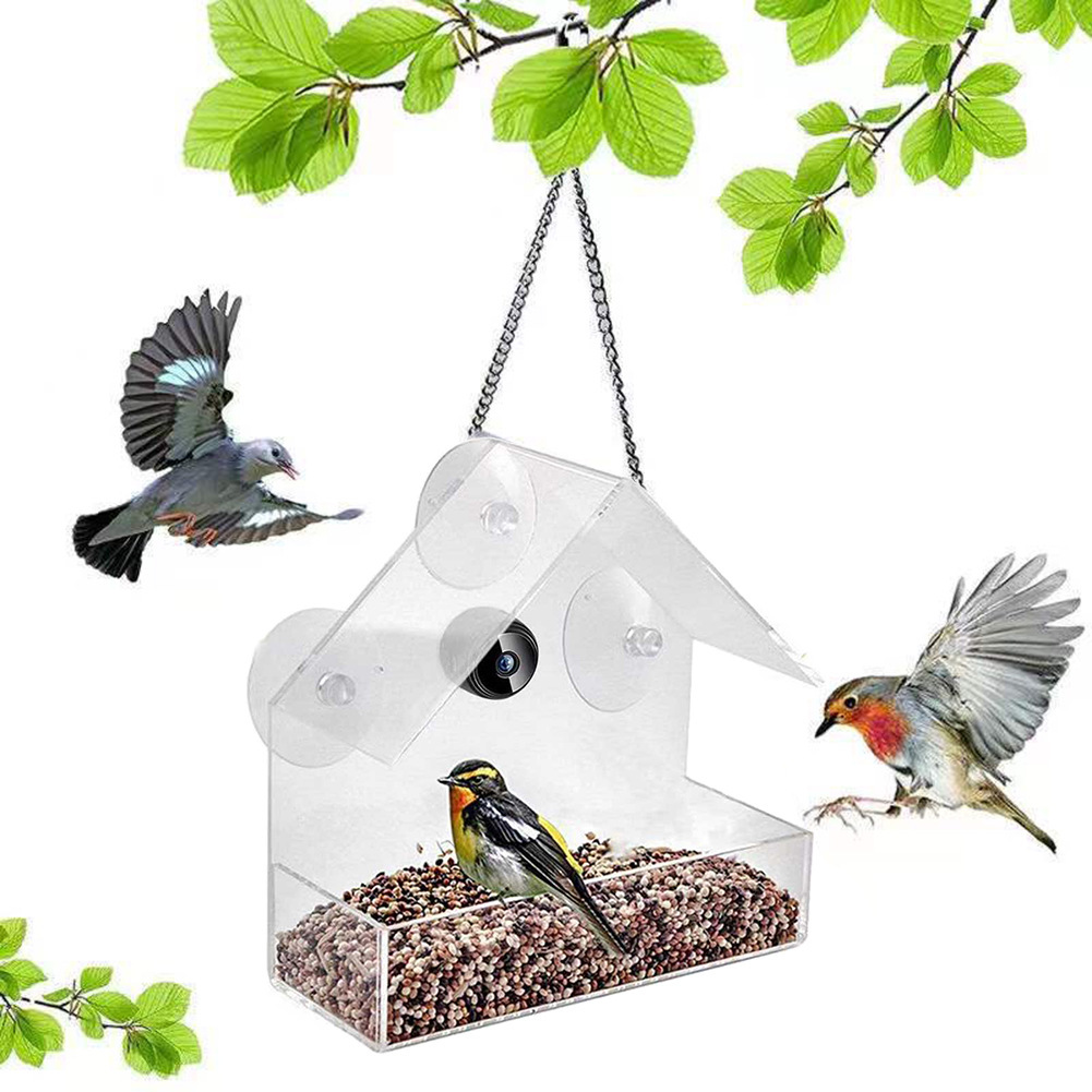 Pengumpan Burung Pintar & Kame - Bird Feeder Camera Wifi Smart Ai ulasan dan harga