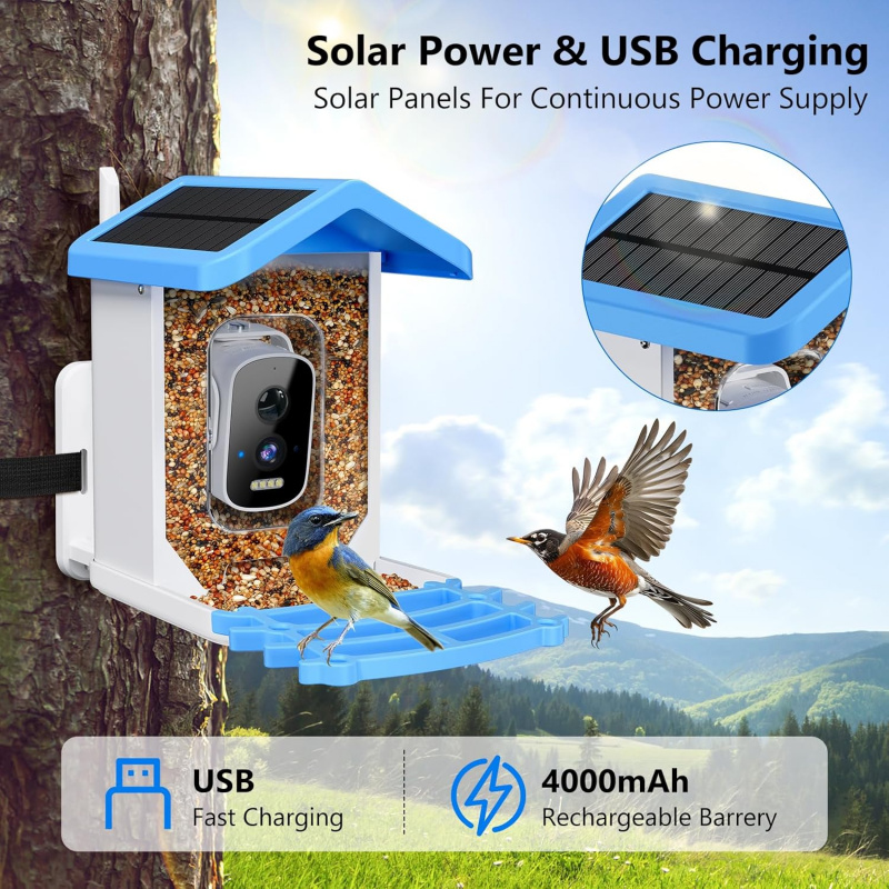 Pengumpan Burung Pintar WiFi d - Bird Feeder Camera Wifi Smart Ai ulasan dan harga