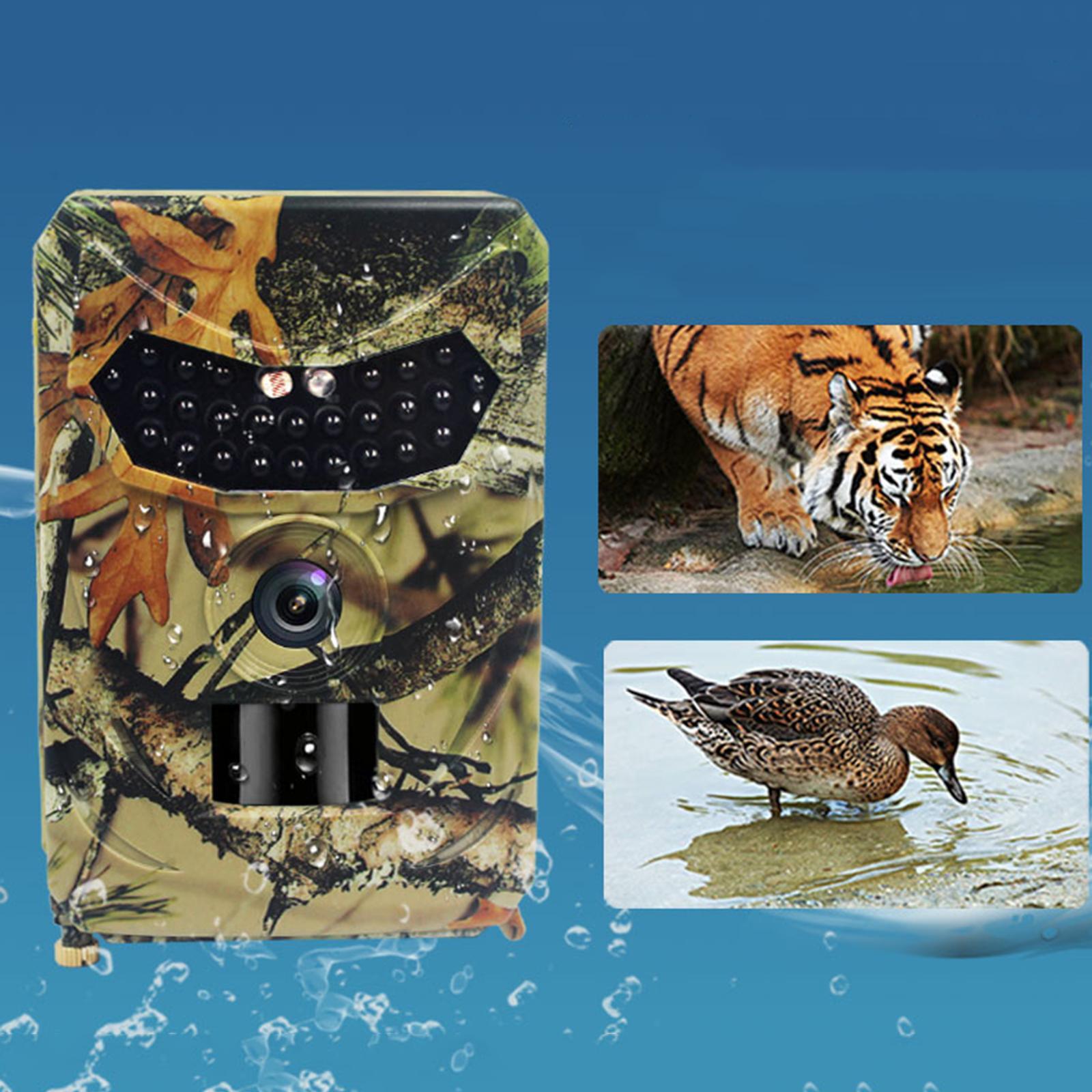 Kamera Trail PR100 940nm Pengl - Night Vision Trail Camera Infrared Leds ulasan dan harga