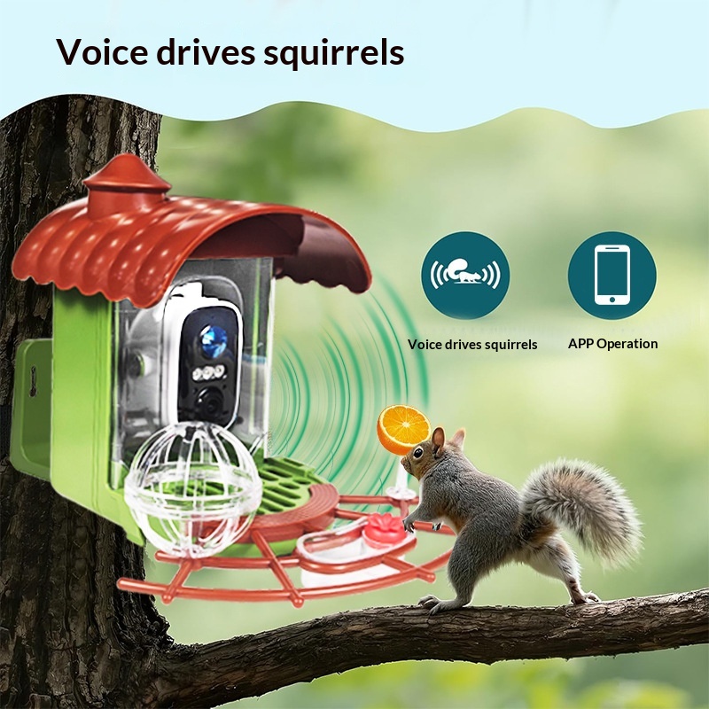 Pengumpan Burung Otomatis Bert - Bird Feeder Camera Wifi Smart Ai ulasan dan harga