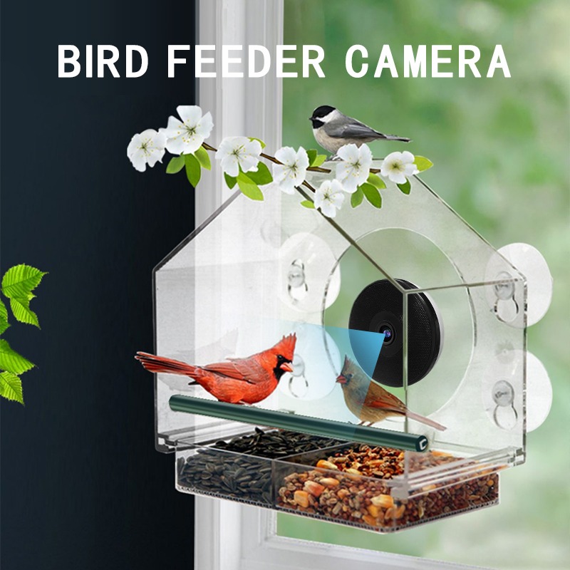 Kamera Pengumpan Burung Pintar - Bird Feeder Camera Wifi Smart Ai ulasan dan harga